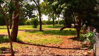Outback Wildlife Rescue Episode 9