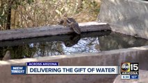 AZ Game and Fish delivering water to wildlife during drought