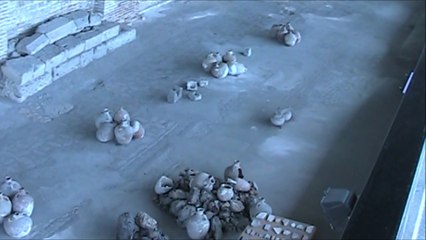 Museum of Archaelogy - Constanta, Romania