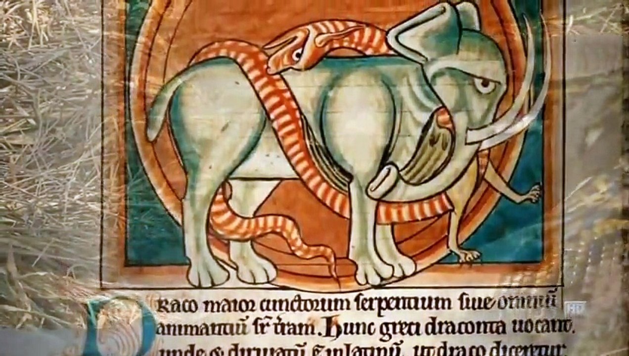 The Dragon Chronicles (Documentary Full Length)