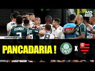 OLHA A PANCADARIA DURANTE CLÁSSICO - PALMEIRAS 1 x 1 FLAMENGO 13/06/2018
