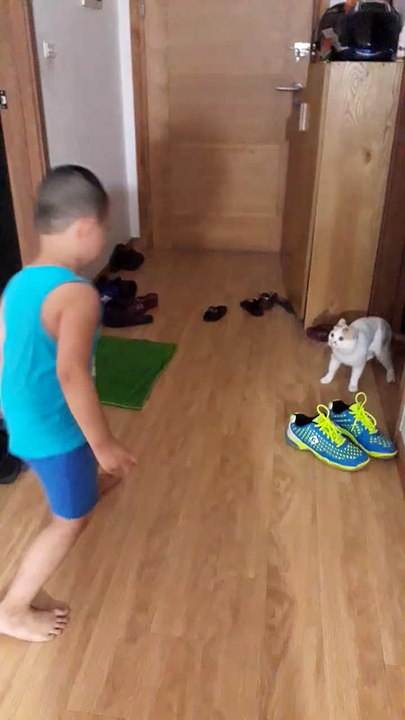 Cat get Revenge
