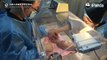 #PandaNewsA pair of twin baby pandas, one female and one male, were born on June 5, 2018 at the Chengdu Research Base of Giant Panda Breeding to eight-year-ol