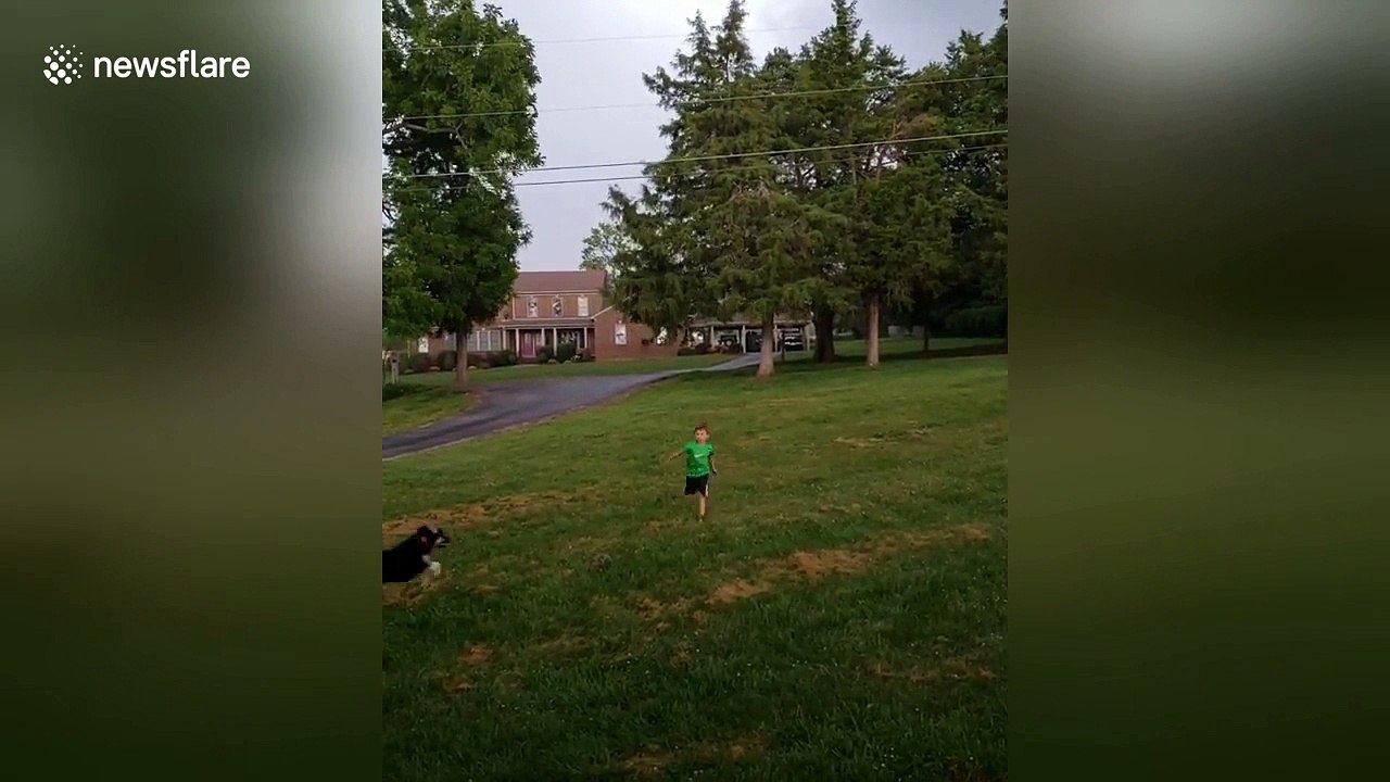 Dog appears out of the blue and tackles running kid to the ground