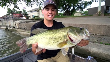 EPIC FEEDING FRENZY before BIG Storm!!!!