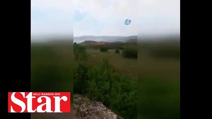 Kangal köpeği ayıya meydan okudu