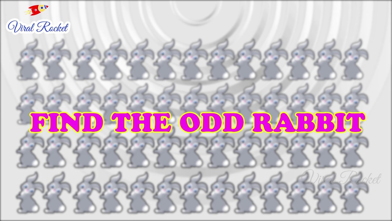 Find the Odd One Out - Puzzles for Genius Minds || Puzzle Time # 2 || Viral Rocket