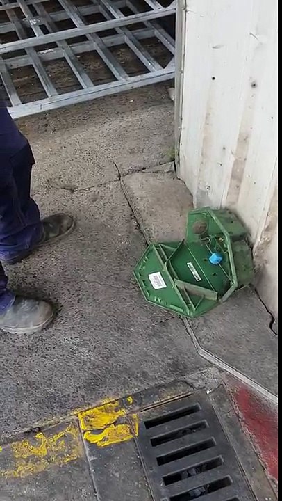 Install Effective Rodent Bait Station with Protech Pest Control in Melbourne!