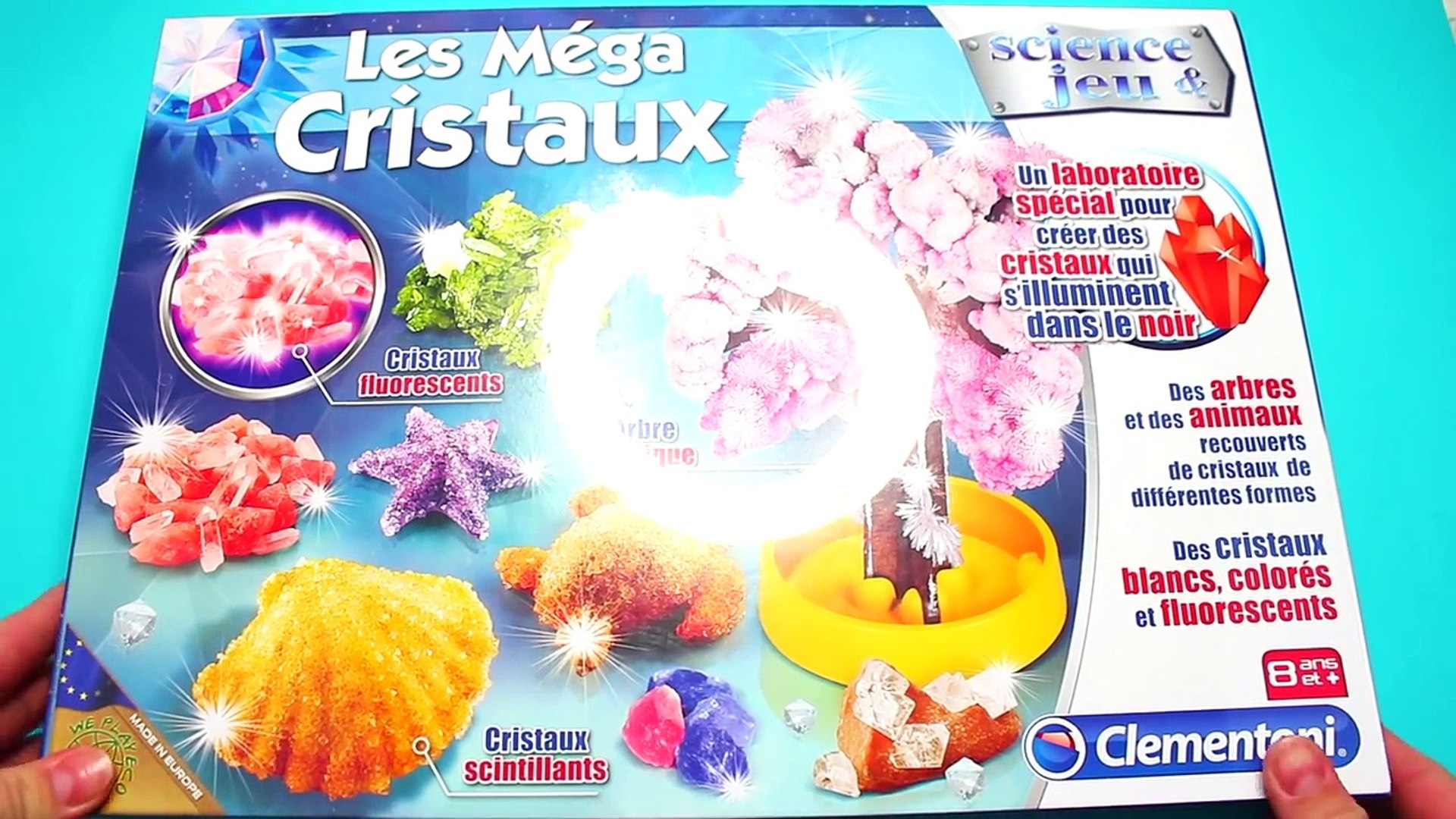 Comment faire des cristaux ? Diy arbre magique ! test jouets #3