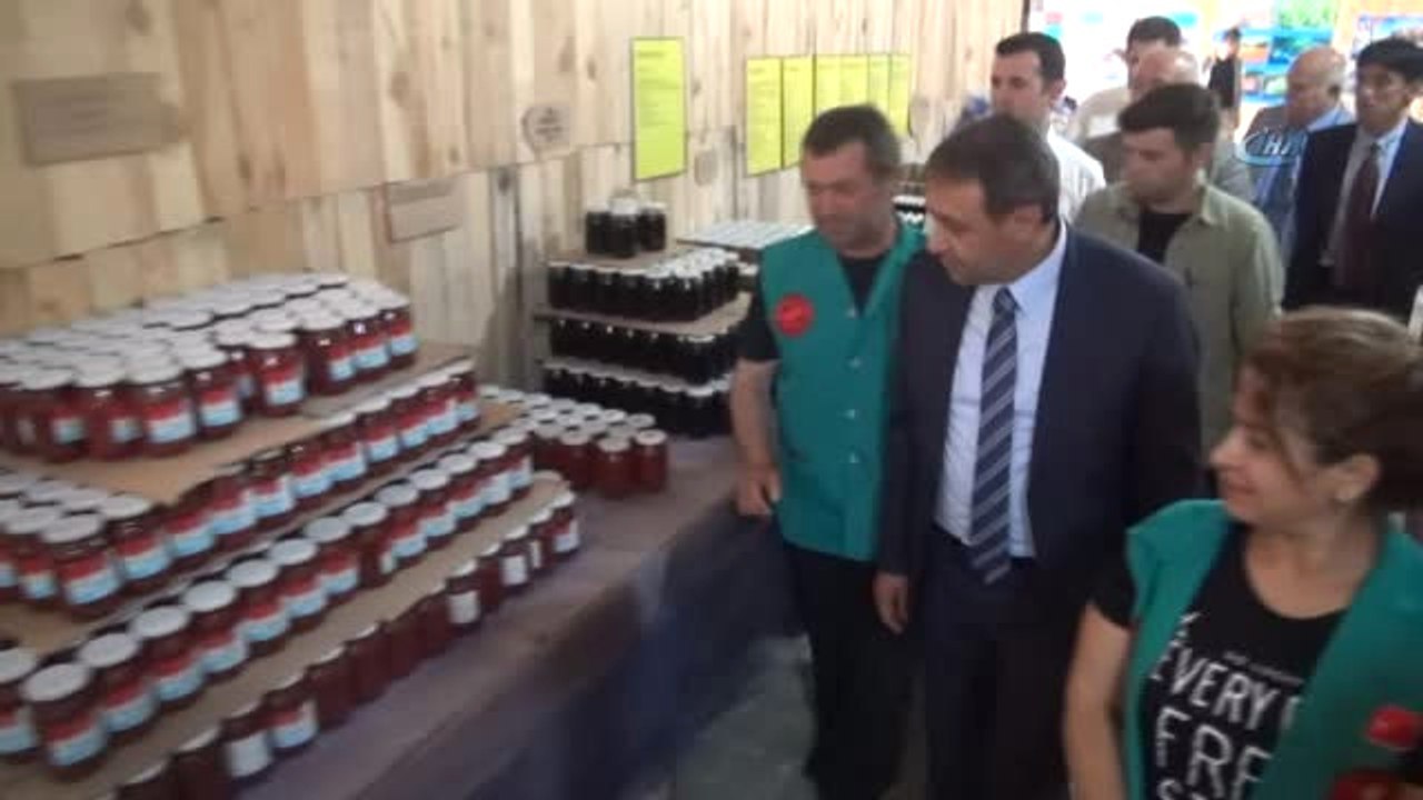 Tedavisi Tamamlanan Leylek, Baykuş ve Çakal Doğaya Salındı