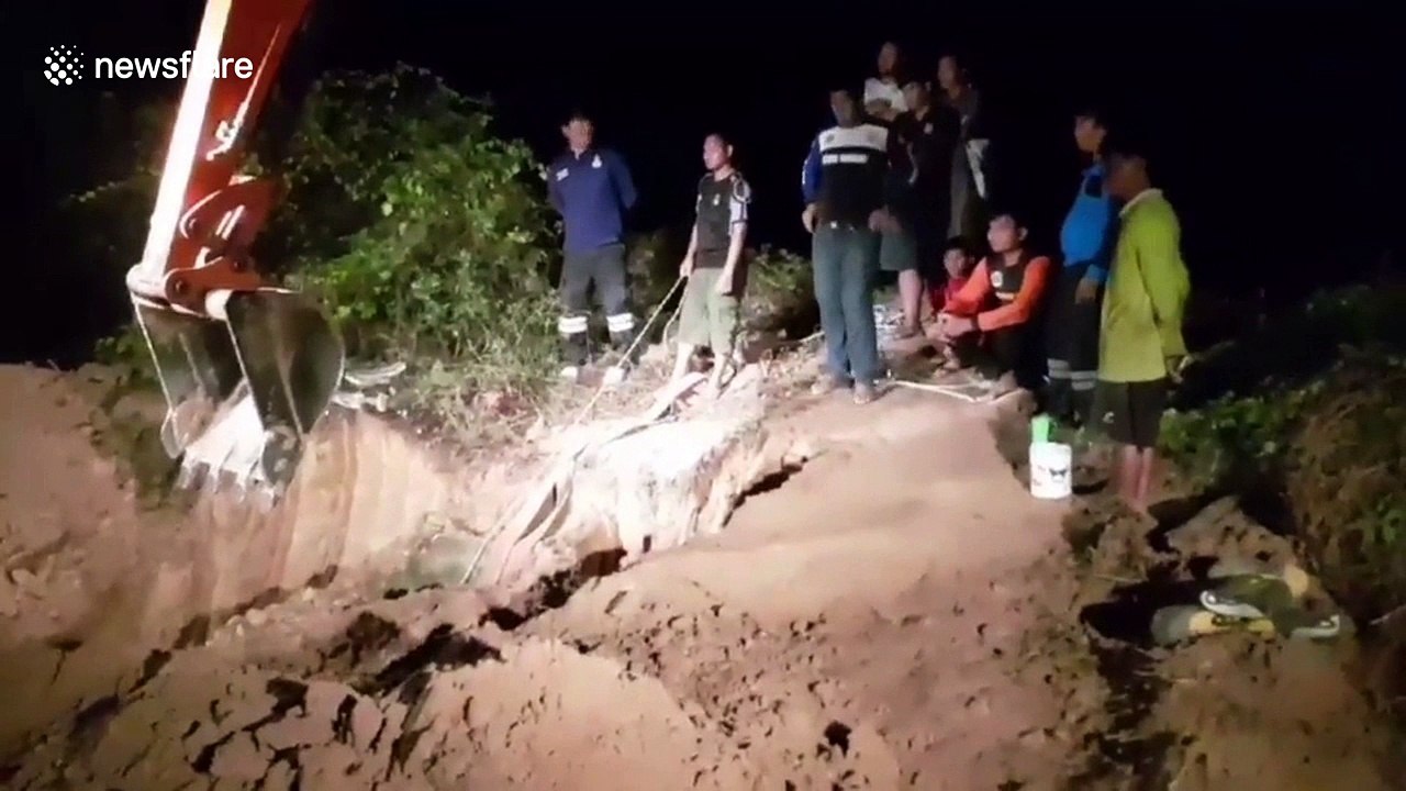 Buffalo rescued after falling into disused well