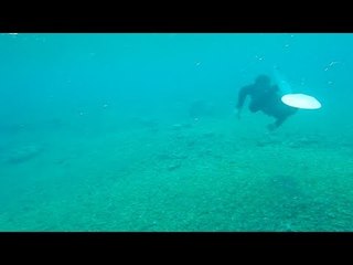 Footage shows extent of damage on coral reefs at Scarborough