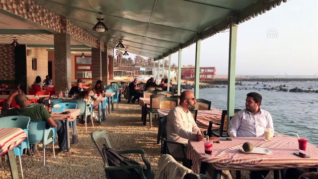 Hayat ağacı Baobab'ın meyvesinden ölümsüzlük iksiri içecek - DAKAR