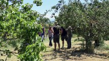 Alpes-de-Haute-Provence : visite dans les champs pour découvrir les essais de variétés de blés Bio