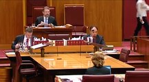 Senator Richard Di Natale, leader of The Australian Greens speaking in parliament today in support of West Papuan self-determination and independence, trying to