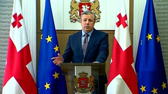 Грузинский премьер-министр Квирикашвили ушел в отставку на фоне протестов