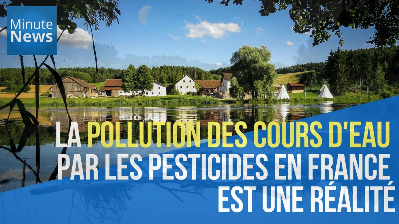 La pollution des cours d'eau par les pesticides...