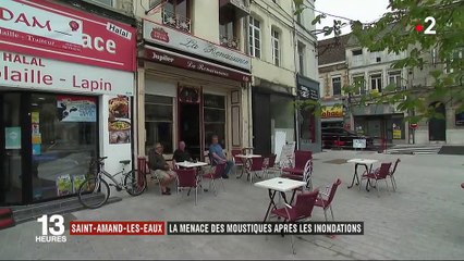 Nord : invasion de moustiques à Saint-Amand-les-Eaux
