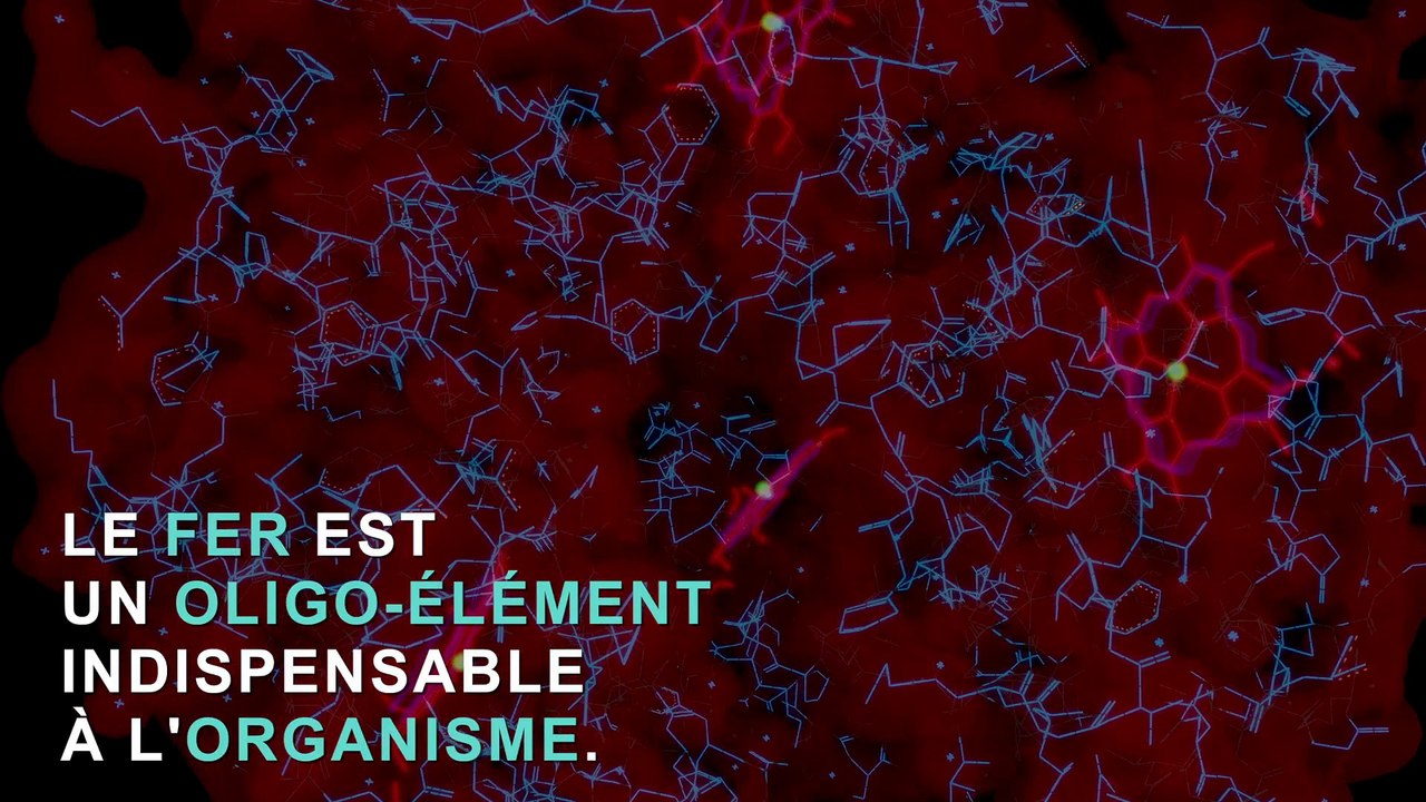 Carence en fer :  les 3 symptômes