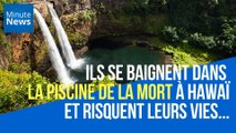 Ils se baignent dans la piscine de la mort et risquent leurs vies...