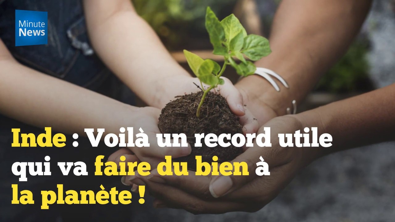 Inde : 66 millions d'arbres plantés en 12 heures !