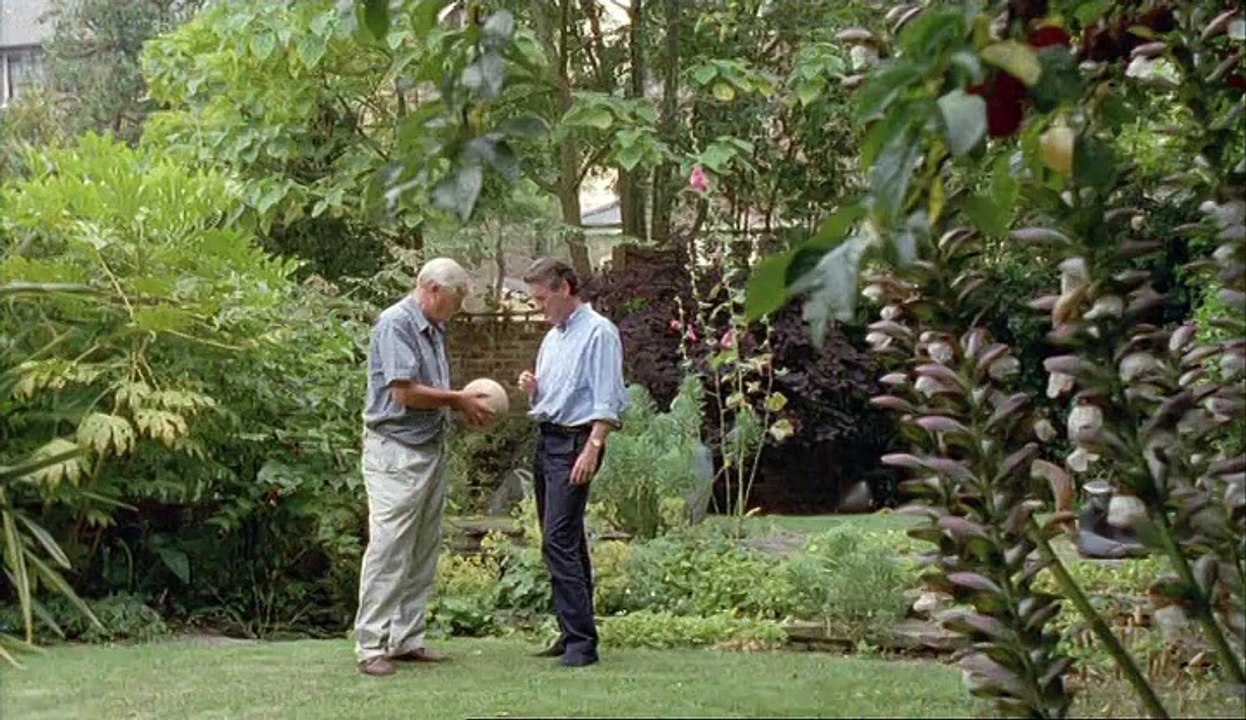 Élet A Kamera Előtt (2002)