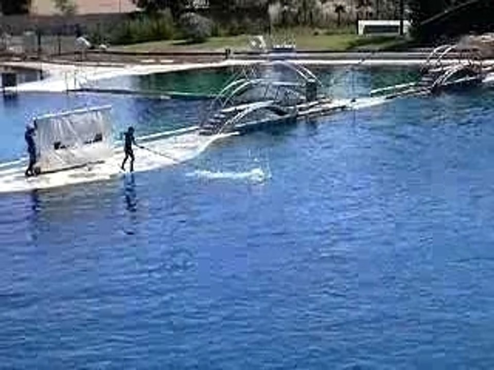 Marineland