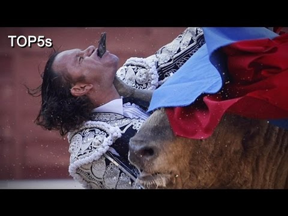 5 Truly Brutal & Vicious Animal Attack Survival Stories