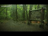 The Haunted Suicide Forest | Japan's Darkest Location | Aokigahara Documentary