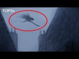 5 Incredible Sightings & Encounters with Supposed Mythical Creatures