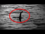 What Mythical Creatures Could ACTUALLY Exist? | Episode 2: 5 Facts About The Loch Ness Monster