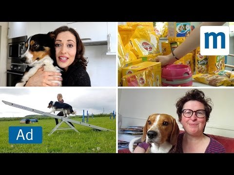 Pedigree feeding trial | Mumsnet product test