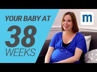 Your baby at 38 weeks | Pregnancy week by week