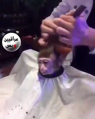 لما تقرر تحلق ليلة الوقفة