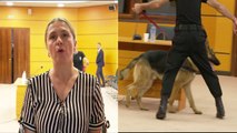 Qeni që ruan Vetting-un - Top Channel Albania - News - Lajme
