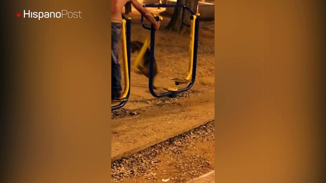 Perro solidario acompañó a su dueño a realizar su rutina de ejercicios