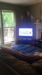 Snake Scales Wall, Surprises Homeowner