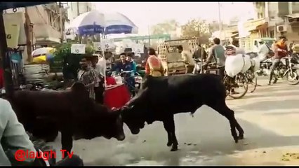 Best Funny Videos of September 2017- Whatsapp Funny Videos - Try Not To Laugh Funny Indian videos