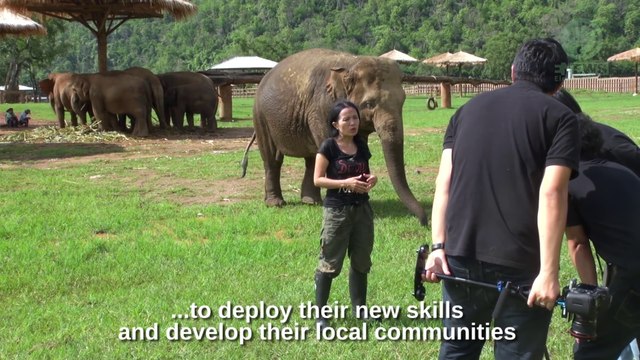 Regardez qui vient embeter sa maitresse en pleine interview... Eléphant trop mignon