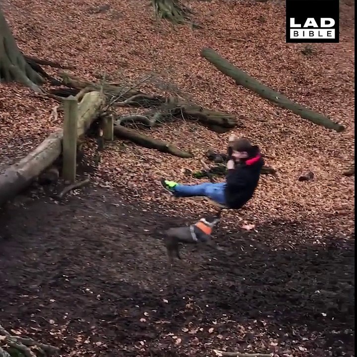 Quand ton chien veut faire de la balançoire avec toi