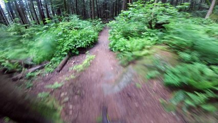 Mountain Biker Has Close Encounter With Bear