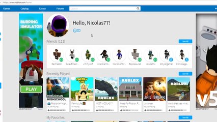 Dumbest Roblox Bans Ever (Flamingo)