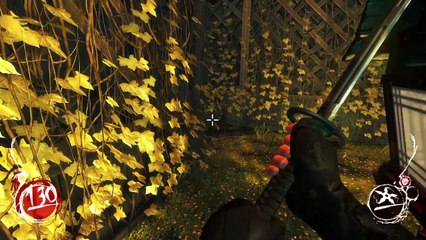 Shadow Warrior Anime Girl 2