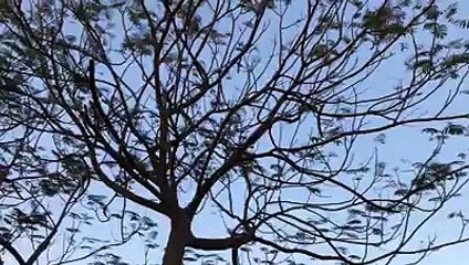 كل دقة قلب في الحياة هي عيدك و ملكك ،و لو أعطيكي عمري كله ما بيوفي حقك،كل ثانية وأمهاتنا جناتنا بألف خير و صحة, و لمن وافتهن المنية الحاضرات الغائبات لروحهن الس