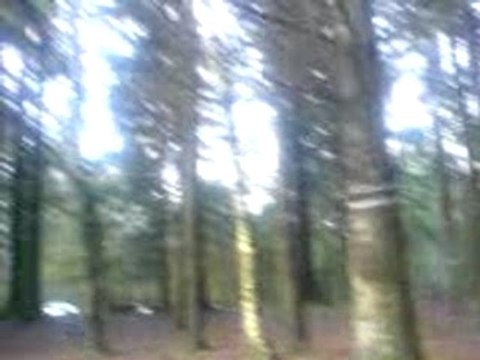 Free Frénézyk/4-astres-off/Esprit nomade @ Les vosges