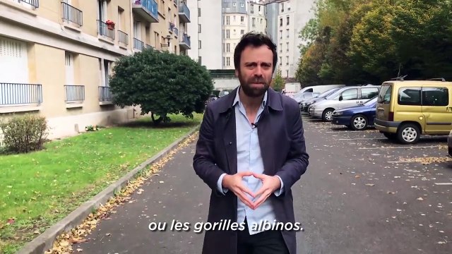 Depuis quand ça existe les chats sans poils ? Pour le savoir Depuis Quand en a acheté un et lui a mis de la crème dessus. Il a kiffé.