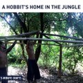 Extreme shelter in a case of zombie apocalypse. via Primitive Survival Tool, bit.ly/2EmJT7H