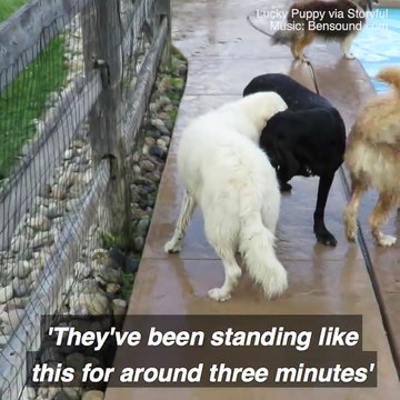 Mine mine mine mine!