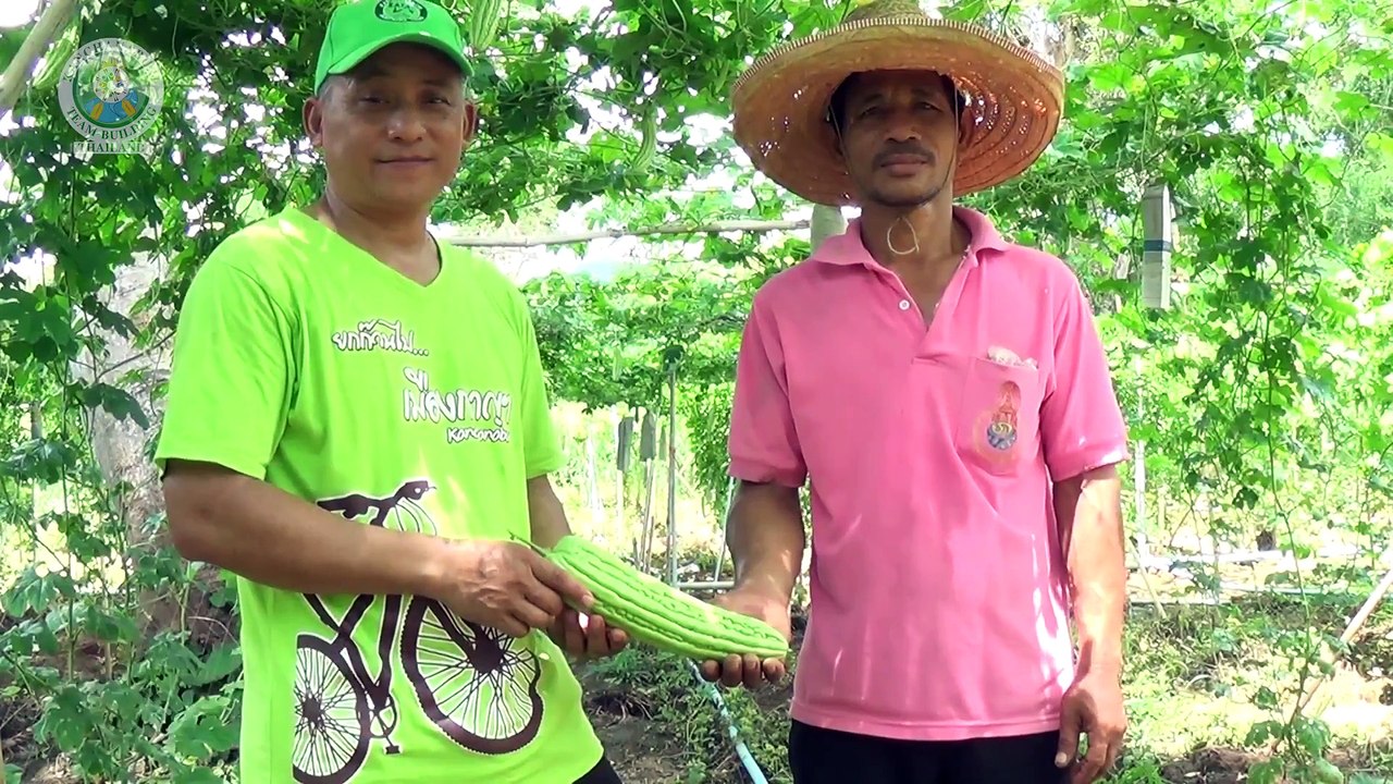 Team building: Agrobiking in Kanchanaburi countryside