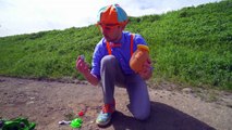 Potato Heads with Blippi on the Farm _ Videos for Toddlers